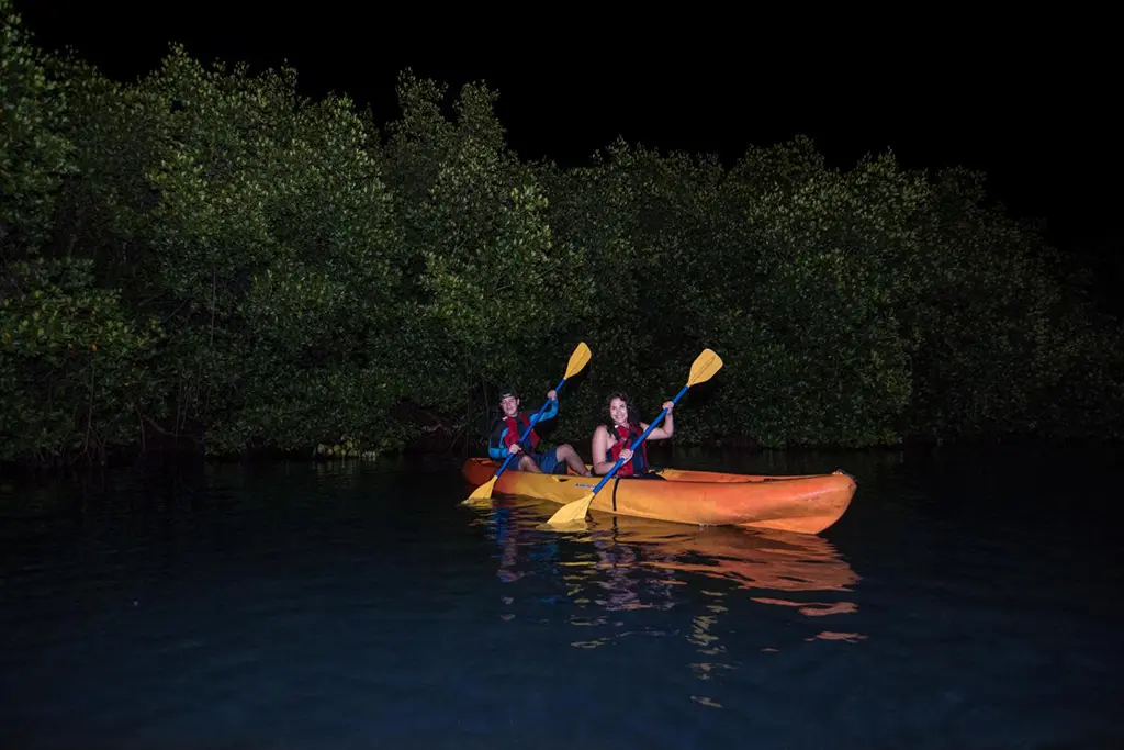 night kayaking puerto rico
